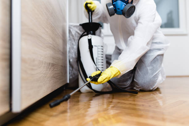 Best Bed Bug Extermination  in Kingstowne, VA
