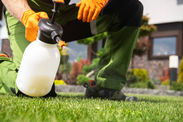 Best Residential Pest Control  in Kingstowne, VA