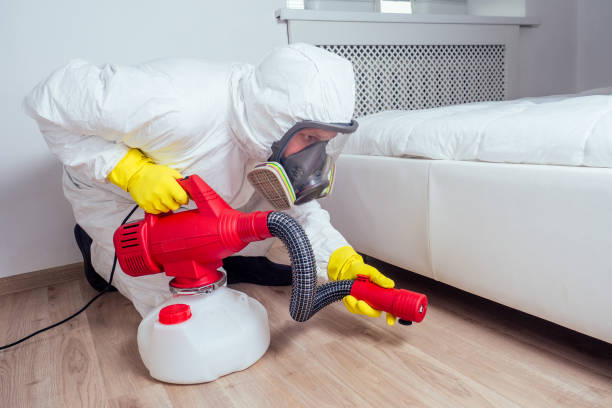 Professional Pest Control in Kingstowne, VA