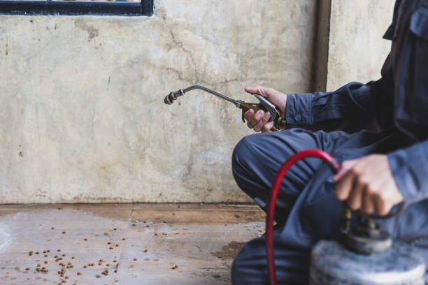 Best Pest Prevention Services  in Kingstowne, VA